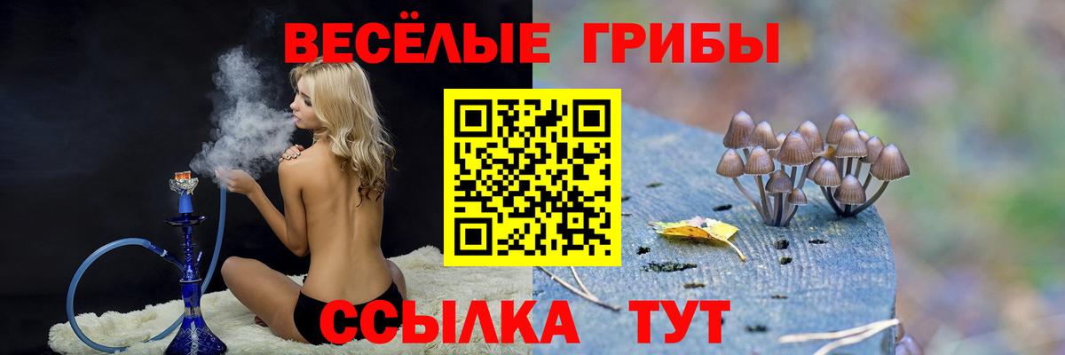 Галлюциногенные грибы мицелий  Вход с VPN  Галлюциногенные грибы ЛСД  Ноябрьск 